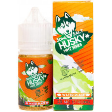 Жидкость Husky Mint Series Salt Strong 30 мл Water Place